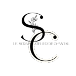 nouveau logo 2025 (logo)